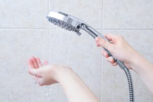 walterworks hardware hand showers