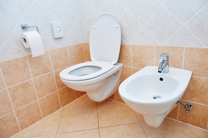 Benefits of Owning a Bidet Seat in Your Home